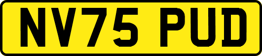 NV75PUD