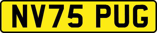 NV75PUG