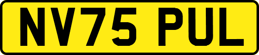 NV75PUL