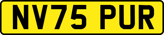 NV75PUR