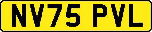 NV75PVL