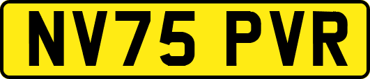 NV75PVR