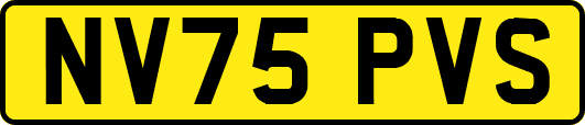 NV75PVS