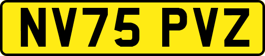 NV75PVZ