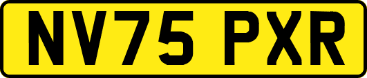 NV75PXR
