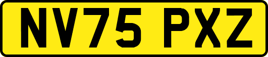 NV75PXZ