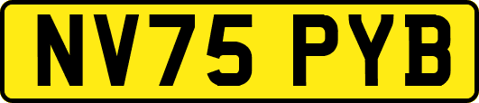 NV75PYB