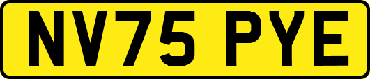 NV75PYE