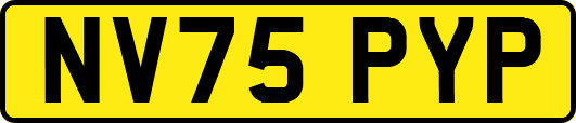 NV75PYP