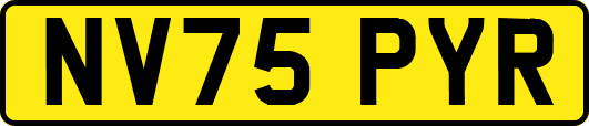 NV75PYR