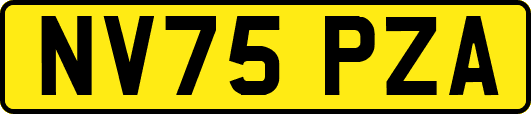 NV75PZA
