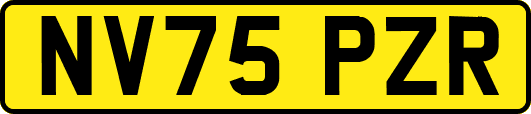 NV75PZR