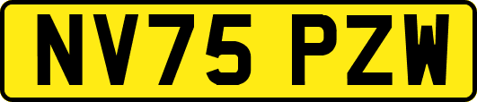 NV75PZW