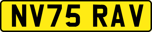 NV75RAV