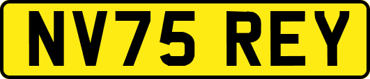 NV75REY