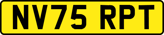 NV75RPT