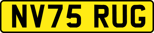 NV75RUG