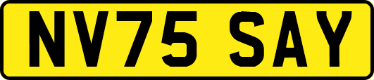 NV75SAY