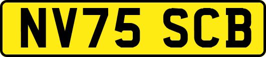 NV75SCB