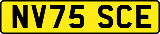 NV75SCE
