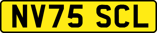 NV75SCL