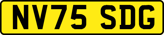 NV75SDG
