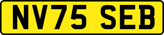 NV75SEB