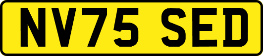 NV75SED