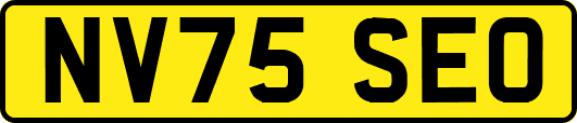 NV75SEO