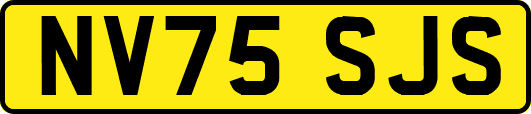 NV75SJS