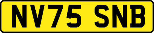 NV75SNB