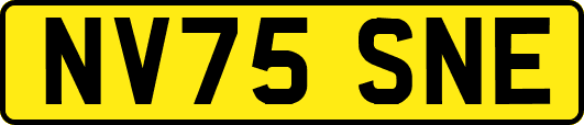 NV75SNE