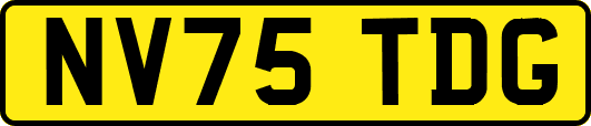 NV75TDG