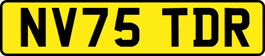 NV75TDR