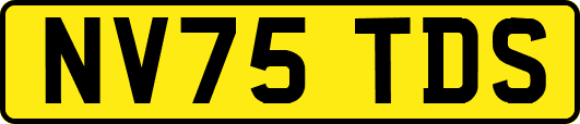 NV75TDS