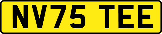 NV75TEE