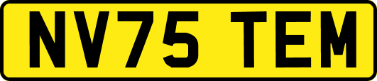 NV75TEM