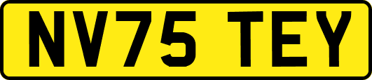 NV75TEY