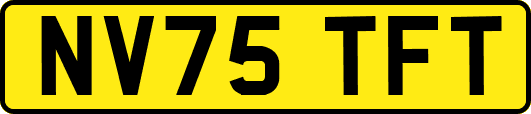 NV75TFT