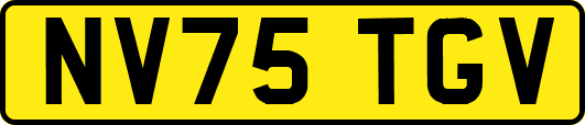 NV75TGV