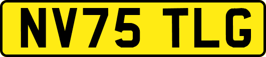 NV75TLG