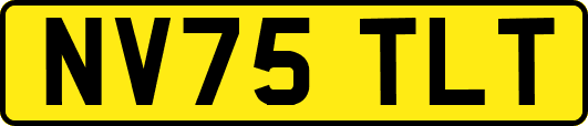 NV75TLT