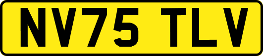 NV75TLV