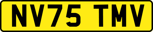 NV75TMV