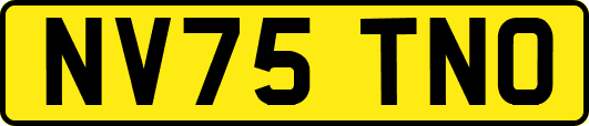 NV75TNO