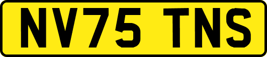 NV75TNS