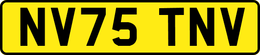 NV75TNV