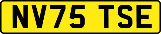 NV75TSE
