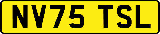 NV75TSL