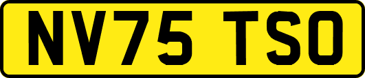 NV75TSO